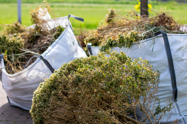 Best Office Junk Removal  in Hanover, PA
